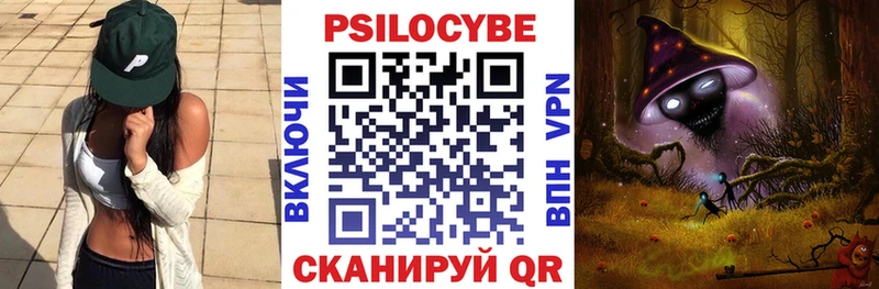 mega tor  Ильский  Псилоцибиновые грибы Psilocybine cubensis 